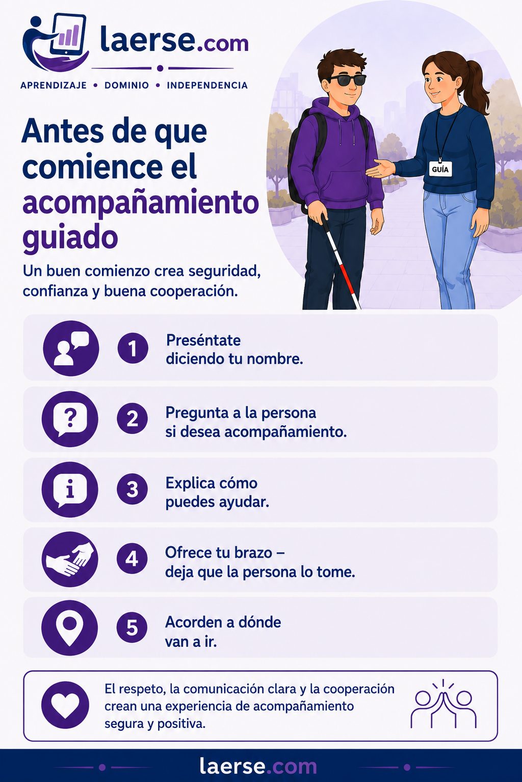 Reglas importantes para la guía vidente